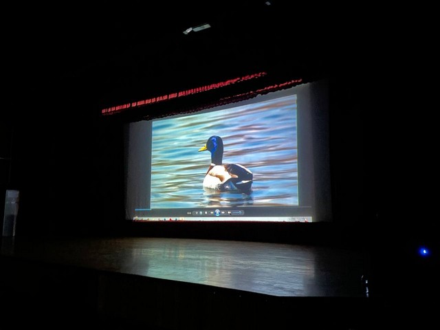 IMG 20221128 143111 596
